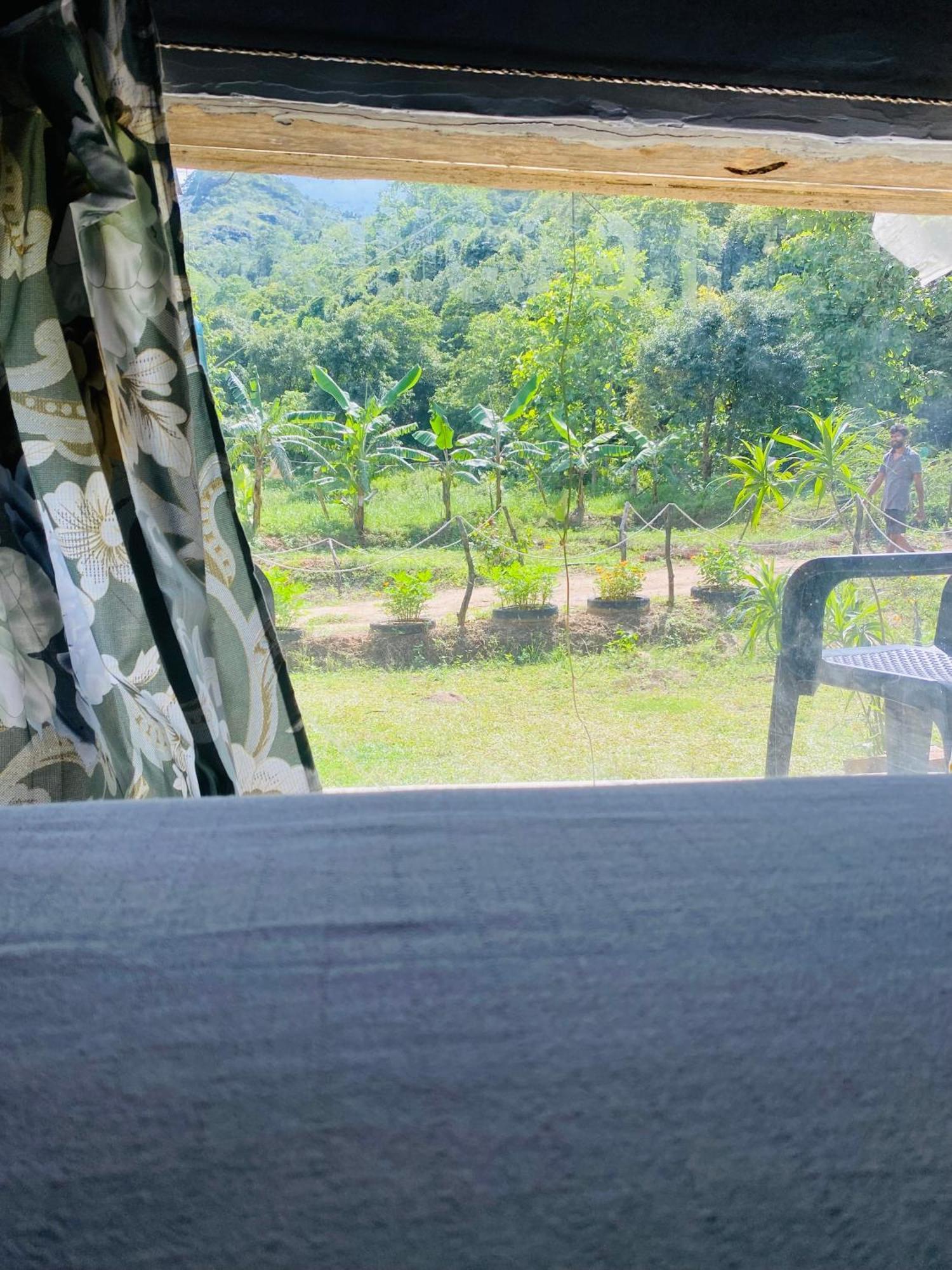 The Forest Edge Resort Dambulla Exterior photo